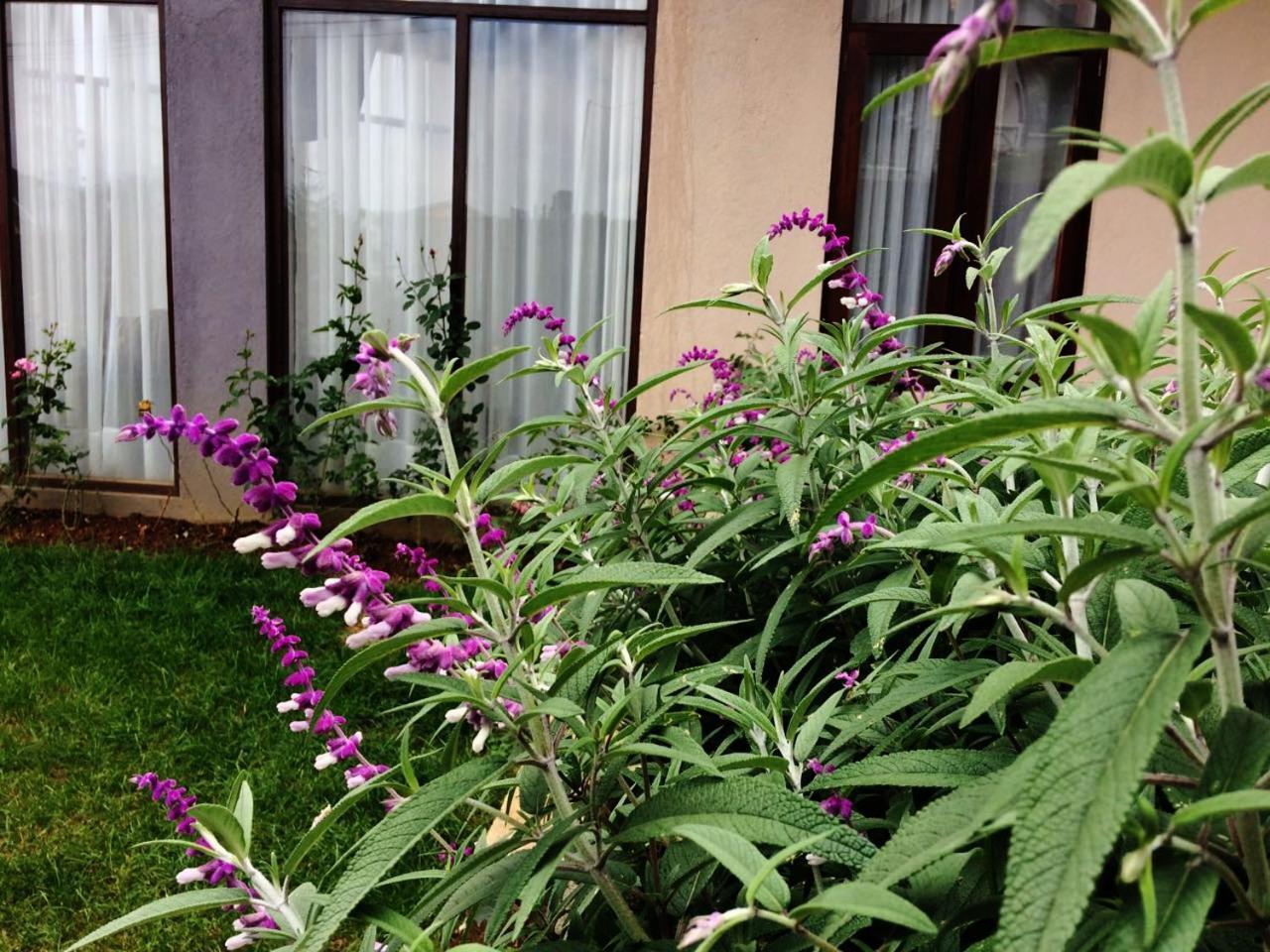 Kingsford Residences Nuwara Eliya Dış mekan fotoğraf